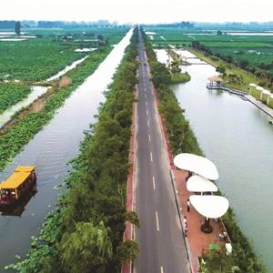 金湖縣荷花蕩旅游公路及景觀綠化建設項目